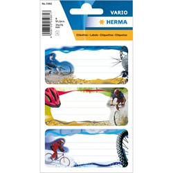 Étiquettes autocollantes HERMA Vario Football - 84x120 mm, pailletées, 2 feuilles, pour livres et cahiers