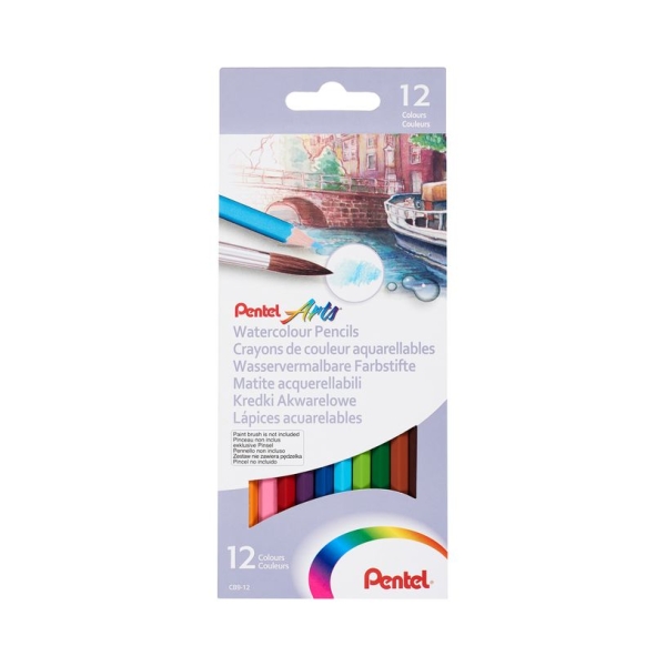 Crayon couleur Pentel Arts aquarellable corps hexagonal bois coloris assortis boîte 12 unités pour dessin et loisirs créatifs