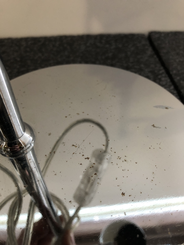 Lampe de bureau Vintage AGEMOB 04320 Éclairez avec Élégance 