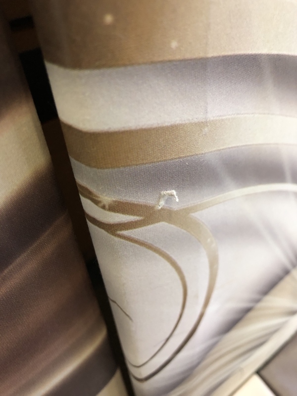 Ensemble de 5 toiles décoratives modernes